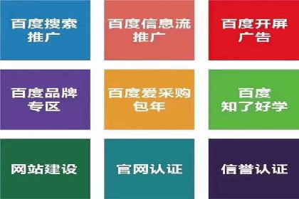 百度推广实战攻略：案例与技巧